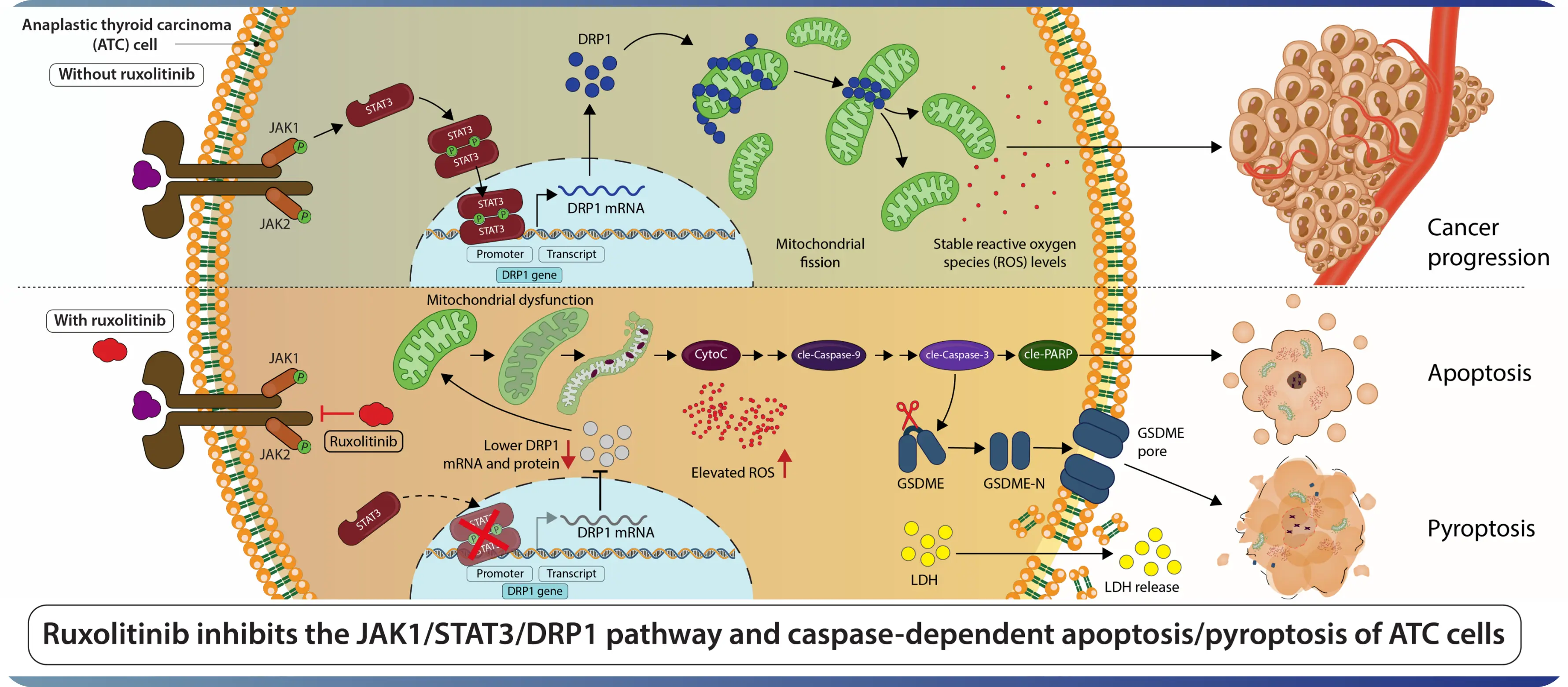 Graphical Abstract Sample